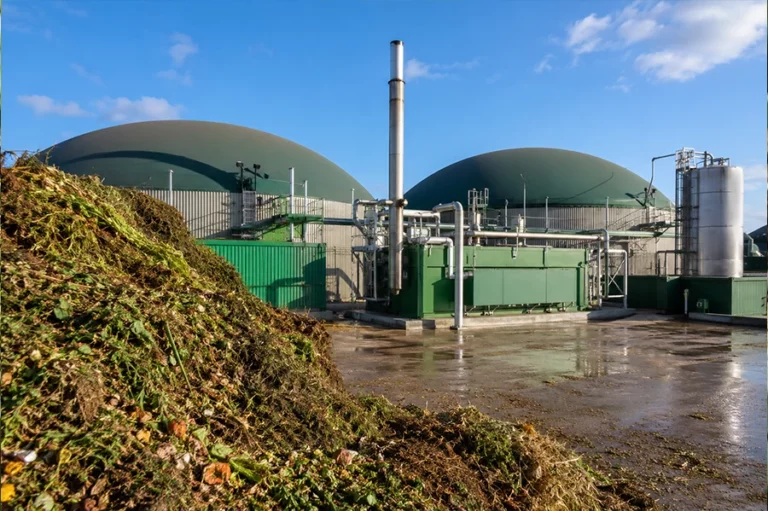 Grünabfälle, welche in der Biogasanlage verarbeitet werden